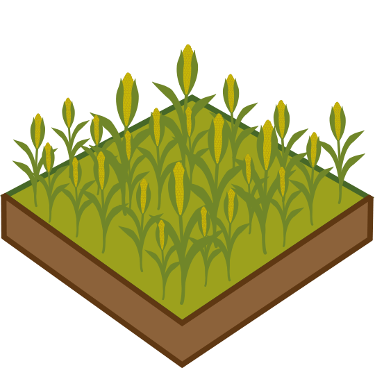 La Ferme du Mornantais, produits fermiers en agriculture biologique à Mornant, près de Lyon | Méteil