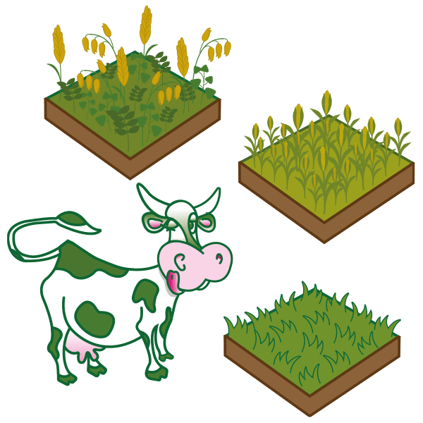 La Ferme du Mornantais, produits fermiers en agriculture biologique à Mornant, près de Lyon | Ferme autonome